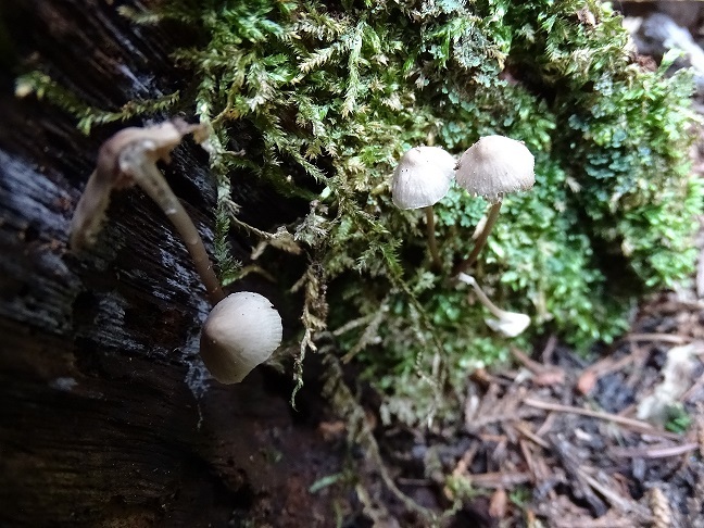 f0360815_16054391.jpg