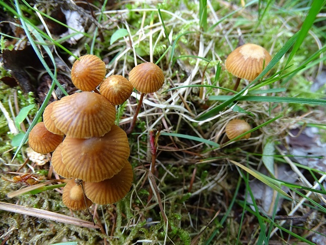 f0360815_16054477.jpg