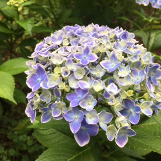 c0152816_21242389.jpg