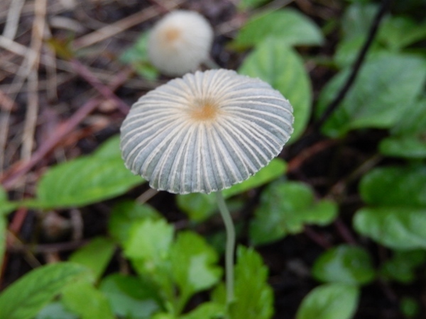 f0000521_06023178.jpg