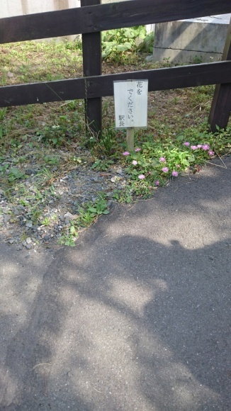 b0339522_08111923.jpg