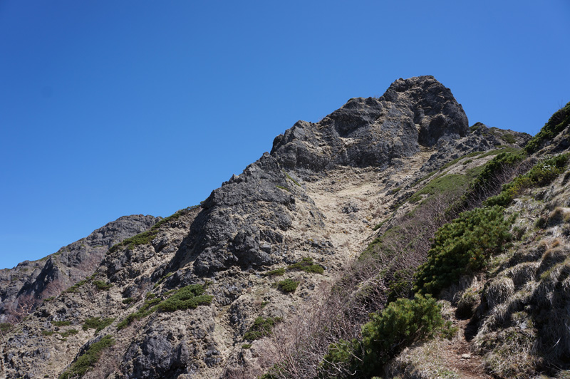 a0192923_431619.jpg