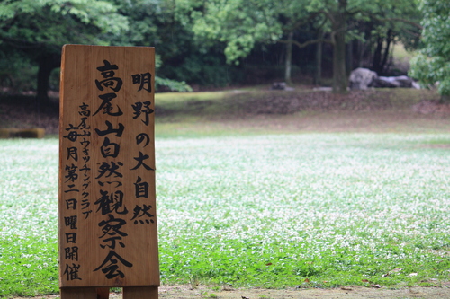 f0200123_14422843.jpg