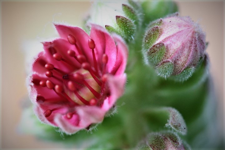 f0354923_01101511.jpg