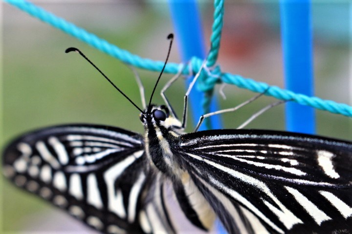 f0354923_22072519.jpg