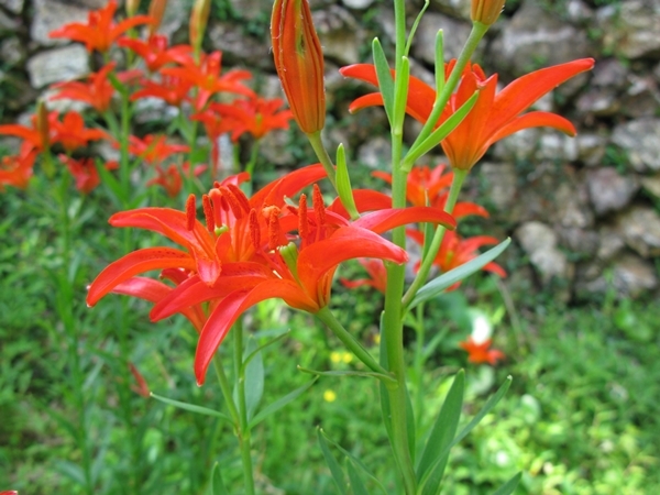 f0129726_21430355.jpg