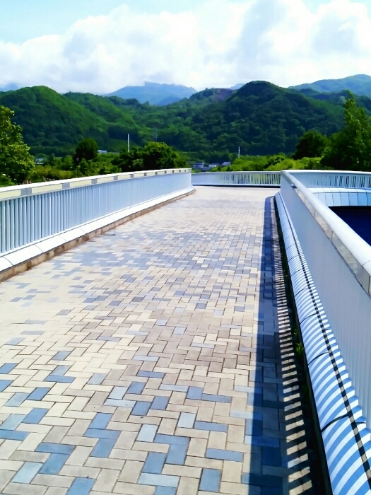 d0211229_19214425.jpg