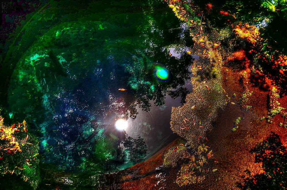 a0287533_21470030.jpg