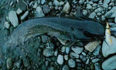 f0321433_22354199.jpg