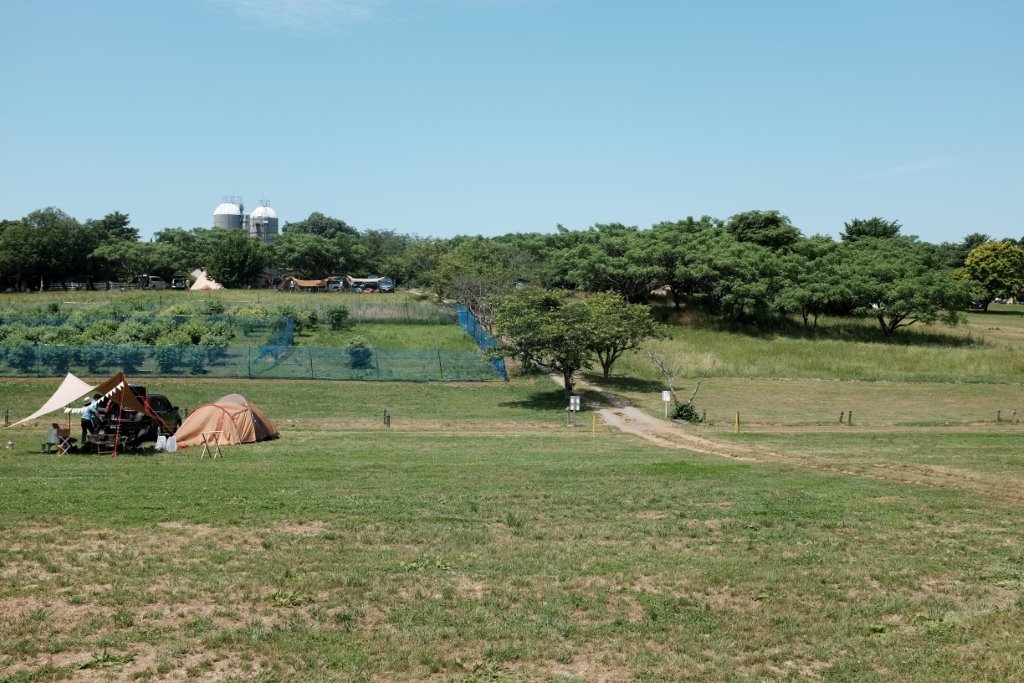 c0342534_21380776.jpg
