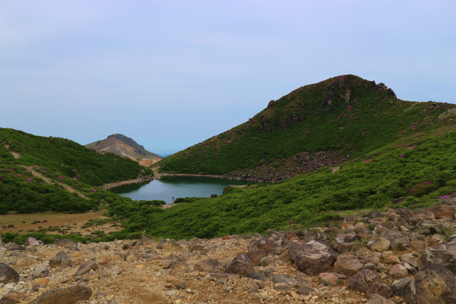 e0272335_51457.jpg