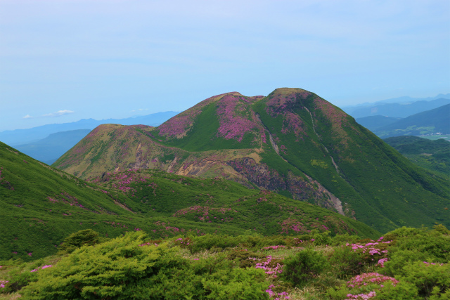 e0272335_52371.jpg