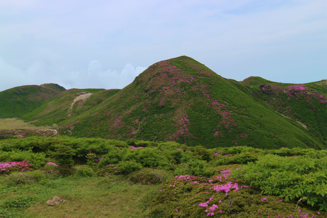e0272335_5291959.jpg