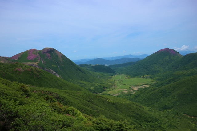e0272335_5361795.jpg