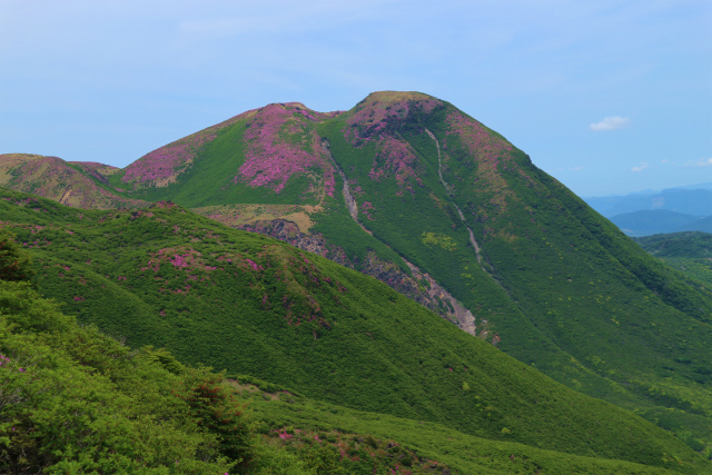 e0272335_5381359.jpg