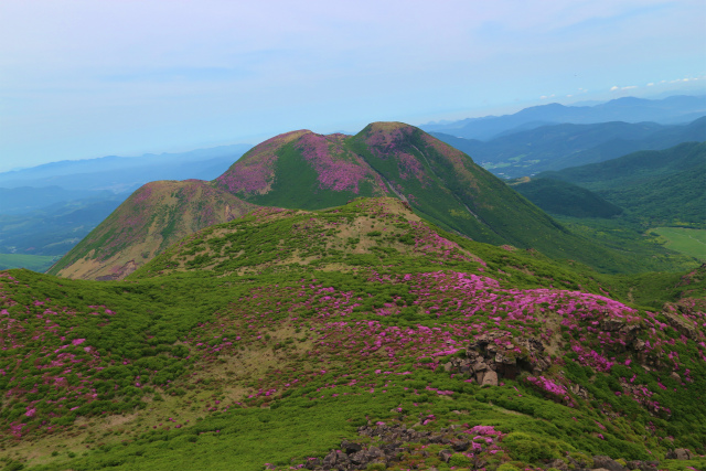 e0272335_563210.jpg