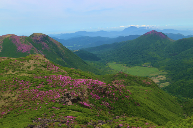 e0272335_585894.jpg