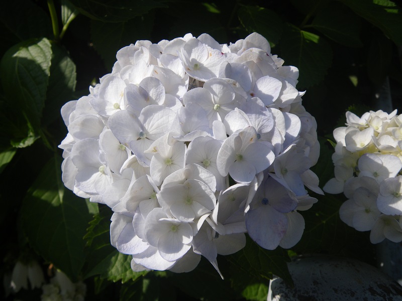 c0033636_2355316.jpg