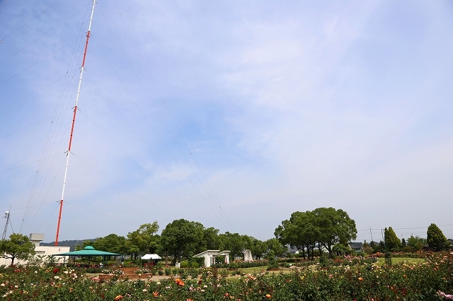 a0242438_20134140.jpg