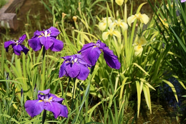 a0242438_20135148.jpg