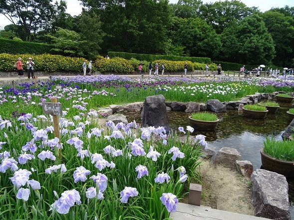b0299042_20020210.jpg