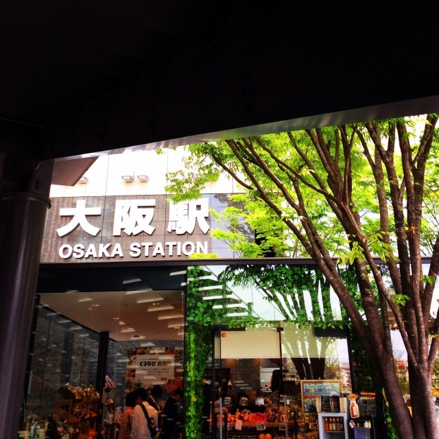 b0125443_16200630.jpg