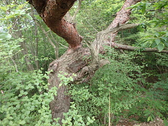 f0334143_7102089.jpg