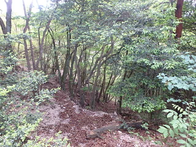 f0334143_7103047.jpg