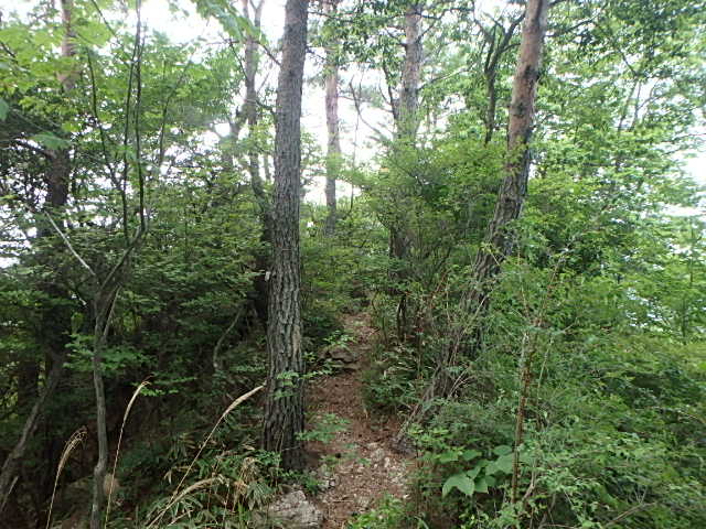 f0334143_7104347.jpg