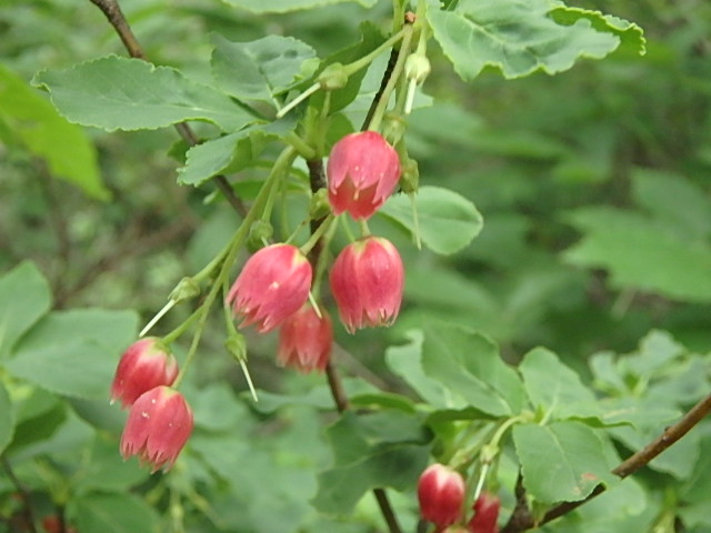 f0334143_710525.jpg