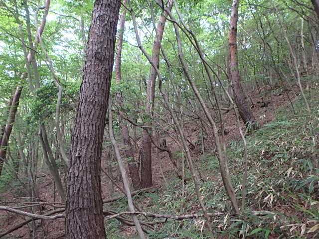 f0334143_7105341.jpg