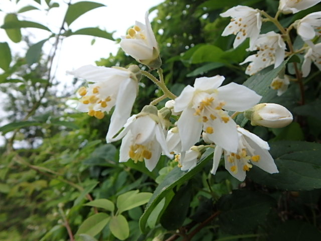 f0334143_75039.jpg