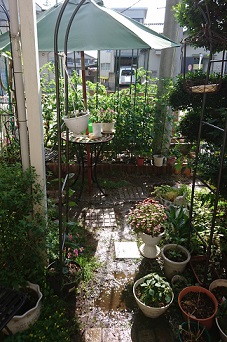 f0087347_0292827.jpg