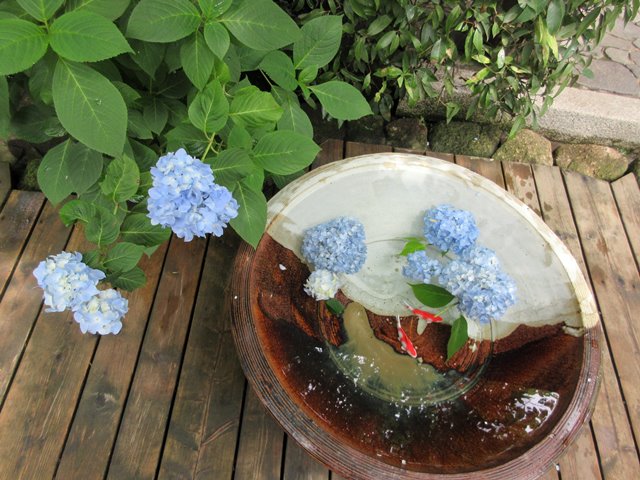 b0009849_15545271.jpg