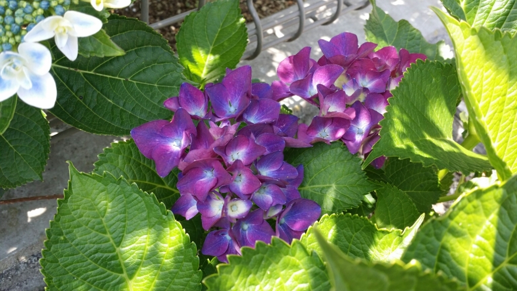 f0046854_16321712.jpg