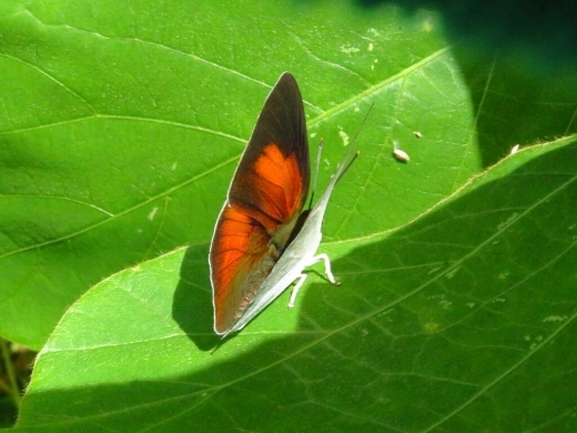 a0018655_14183743.jpg