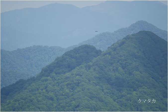c0061761_631735.jpg