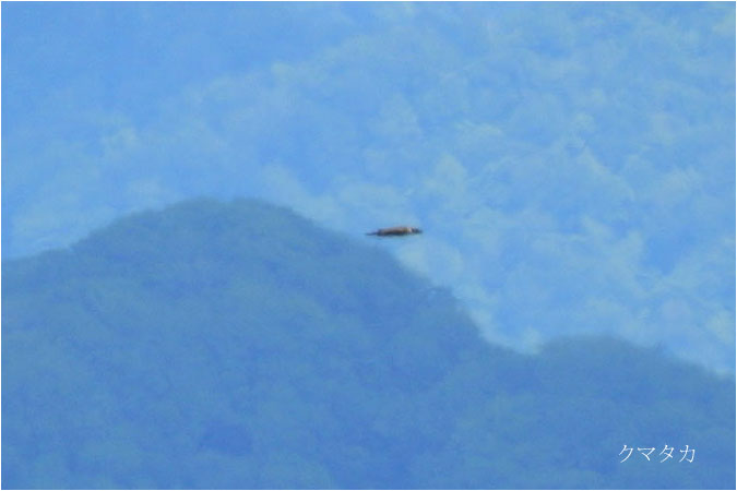 c0061761_65643.jpg