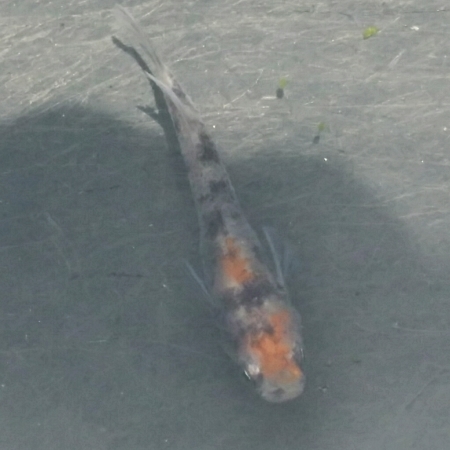 e0356962_14091384.jpg