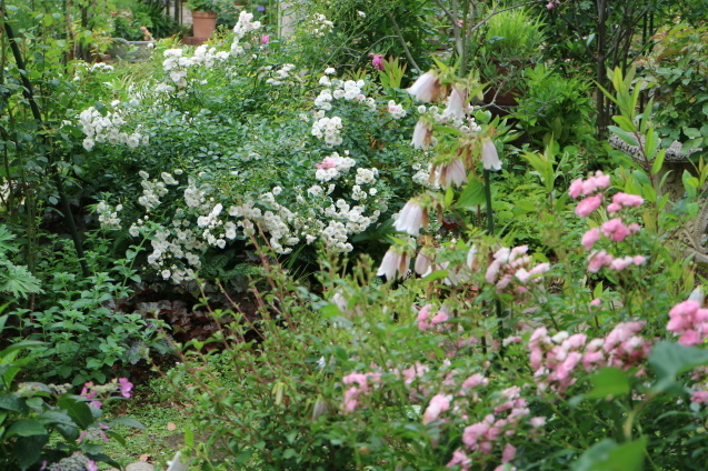 f0345263_21564272.jpg