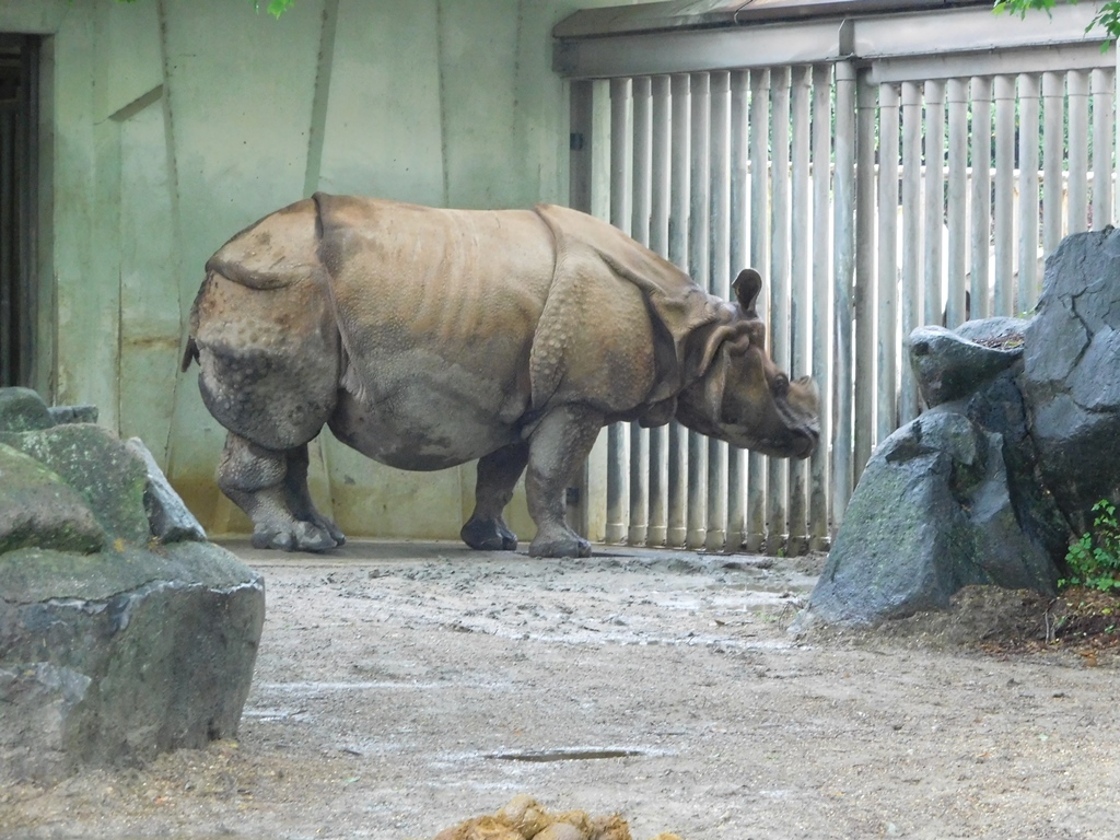 e0266067_23523693.jpg