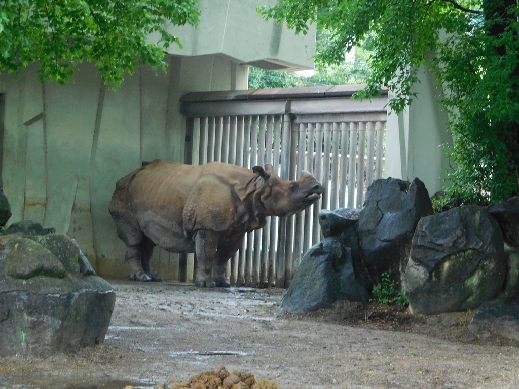 e0266067_23564072.jpg