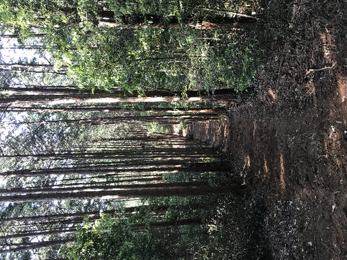 c0111172_941585.jpg