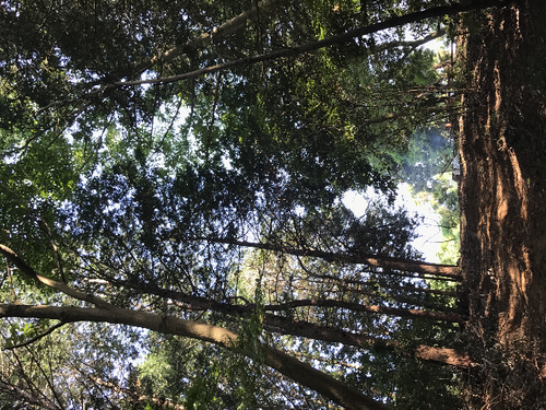 c0111172_955755.jpg
