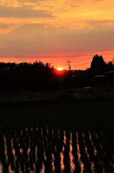 c0248473_21165390.jpg