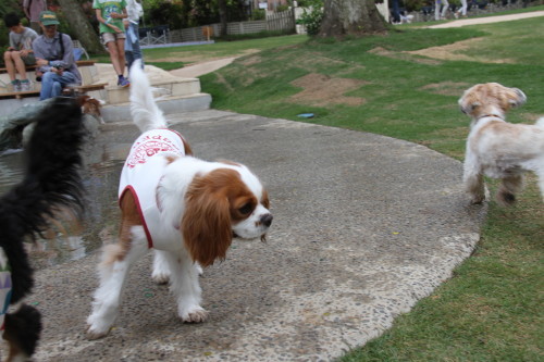 e0114977_20105986.jpg