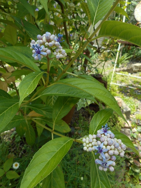 f0366679_15394098.jpg