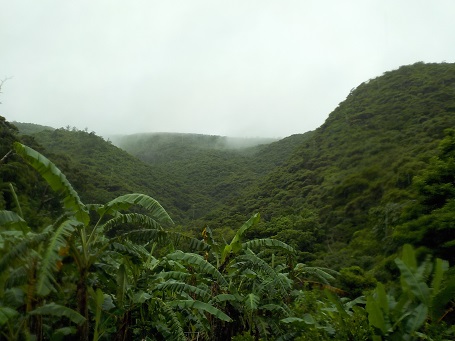 d0170586_13313072.jpg
