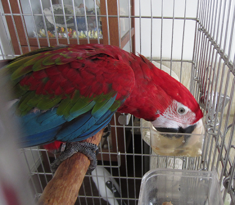 f0234590_10514050.png