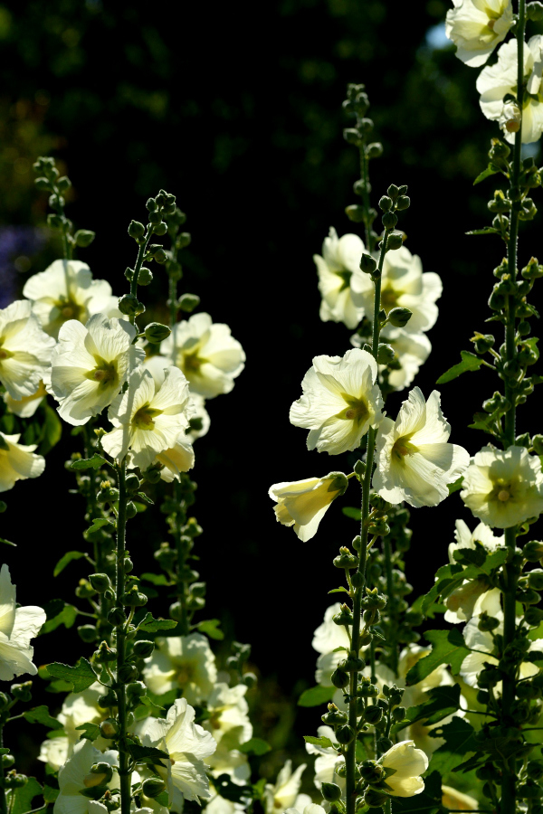a0143491_02205240.jpg